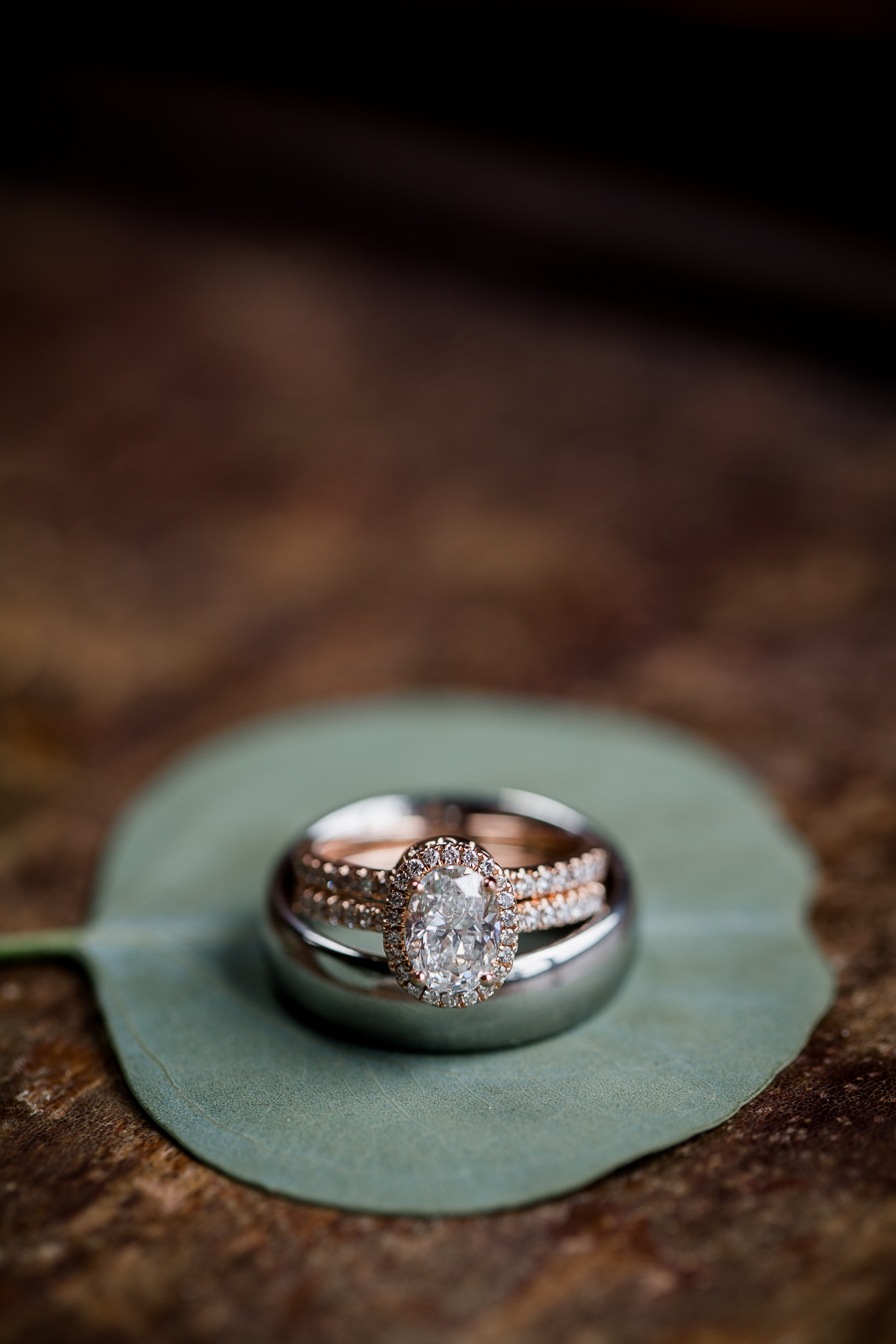 Detail of rings at this wedding at The Standard by Knoxville Wedding Photographer, Amanda May Photos.