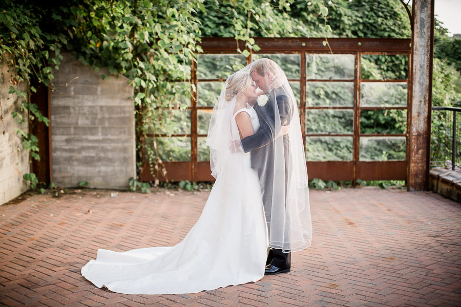 Bride and groom under vail at this wedding at The Standard by Knoxville Wedding Photographer, Amanda May Photos.