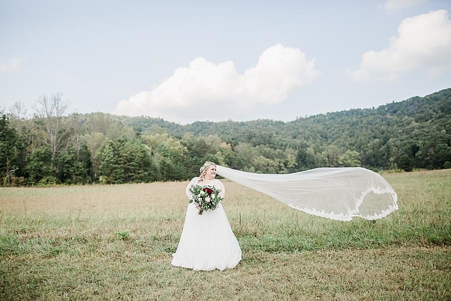 Flowing veil at this Cades Cove wedding by Knoxville Wedding Photographer, Amanda May Photos.