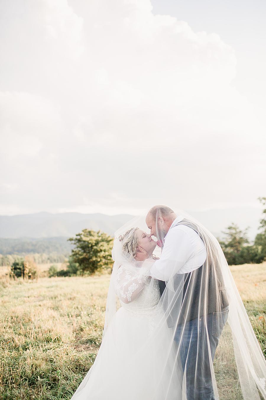 Under the veil by Knoxville Wedding Photographer, Amanda May Photos.
