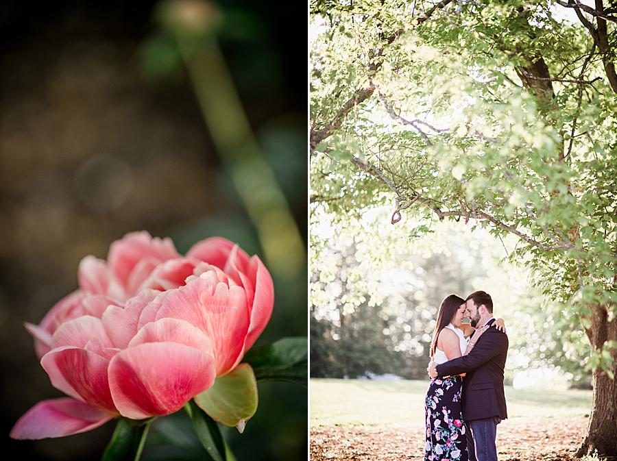 Forehead to forehead at this Knoxville Botanical Engagement session by Knoxville Wedding Photographer, Amanda May Photos.