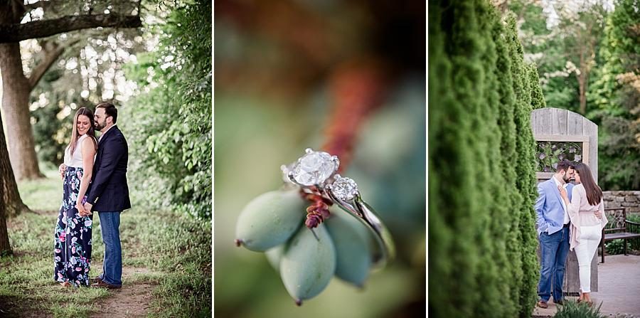 Close up of ring at this Knoxville Botanical Engagement session by Knoxville Wedding Photographer, Amanda May Photos.