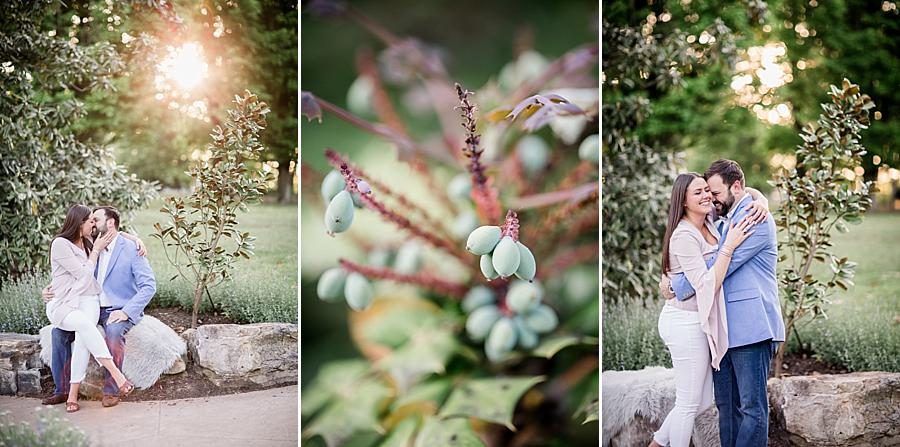Sitting on a rock at this Knoxville Botanical Engagement session by Knoxville Wedding Photographer, Amanda May Photos.