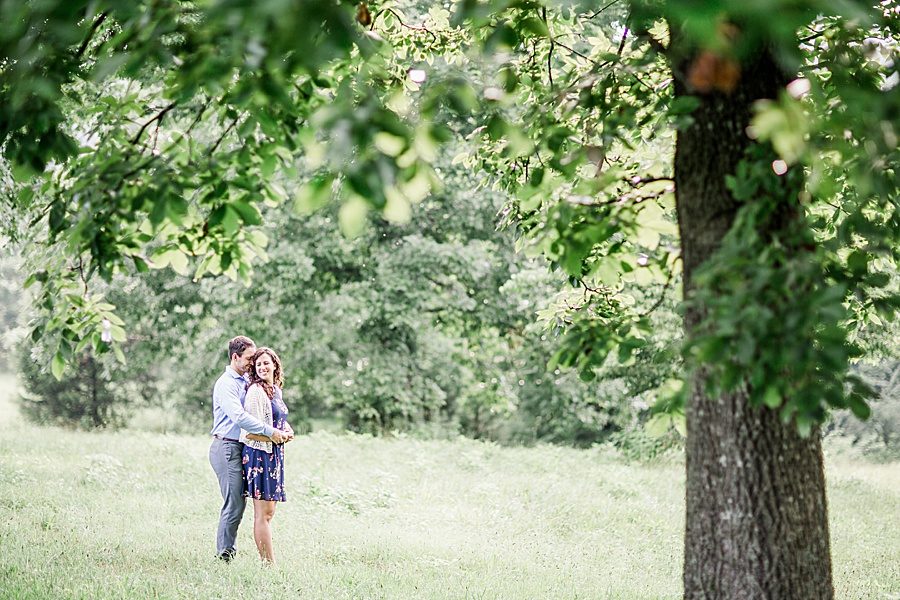 Under a tree at this engagement at Castleton Farms by Knoxville Wedding Photographer, Amanda May Photos