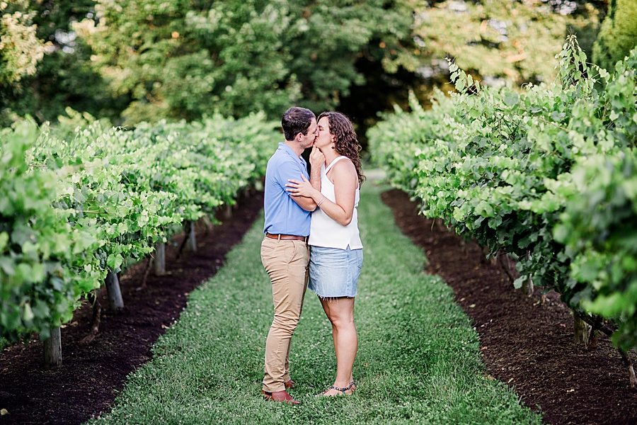 East Tennessee vineyard at this engagement at Castleton Farms by Knoxville Wedding Photographer, Amanda May Photos