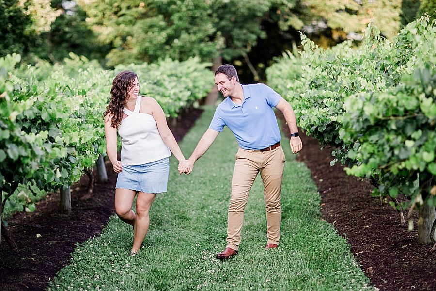 Walking in the vineyard by Knoxville Wedding Photographer, Amanda May Photos