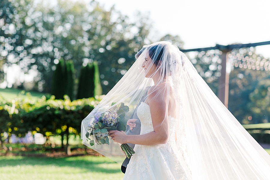 bride under the veil at castleton