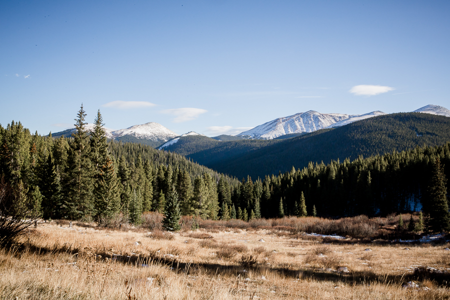 Field and mountains in Breckenridge by Knoxville Wedding Photographer, Amanda May Photos.