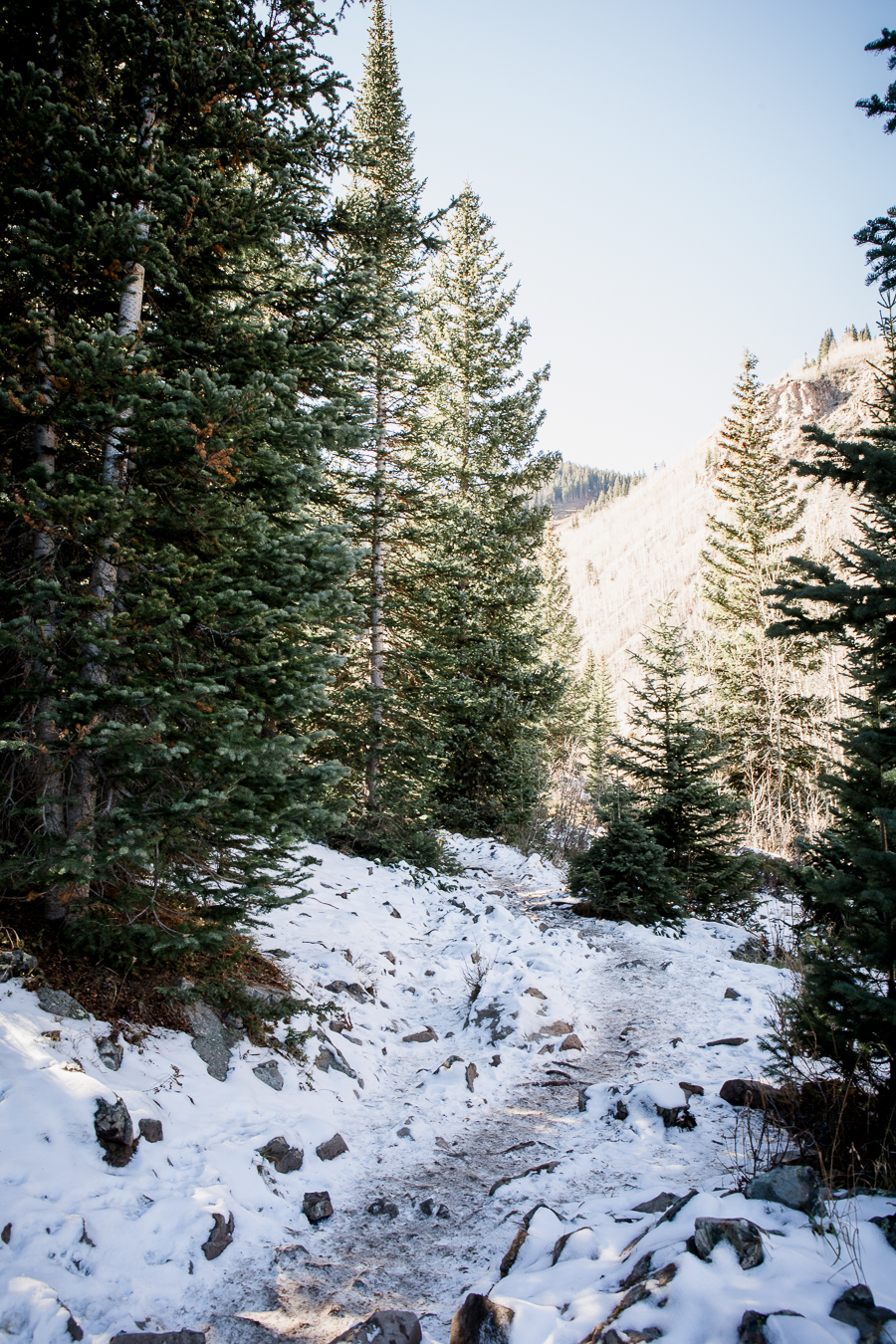 Snowy hike in Aspen by Knoxville Wedding Photographer, Amanda May Photos.
