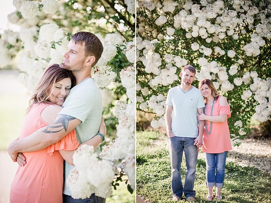 Hugging at this UT Gardens Engagement by Knoxville Wedding Photographer, Amanda May Photos.