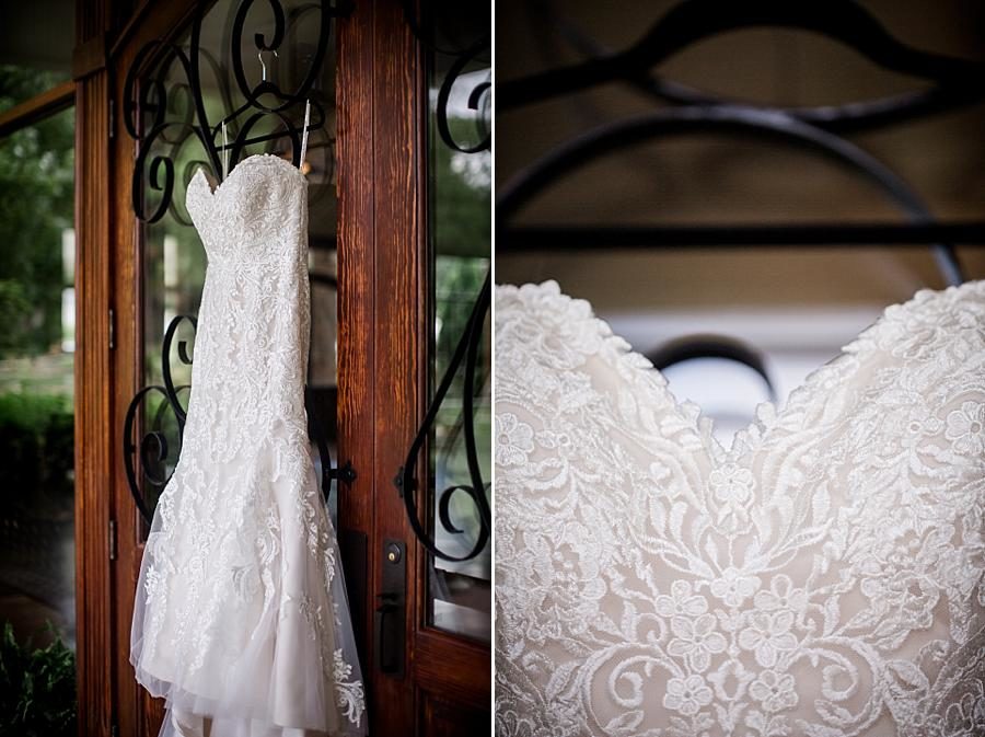 Lace dress details at this Hunter Valley Pavilion Wedding by Knoxville Wedding Photographer, Amanda May Photos.