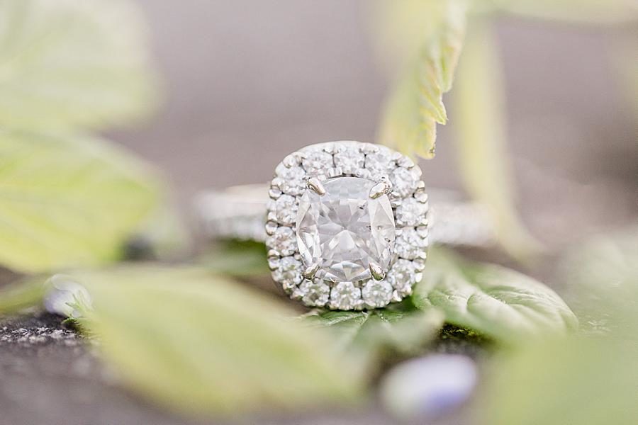 Engagement ring at this Meads Quarry Session by Knoxville Wedding Photographer, Amanda May Photos.