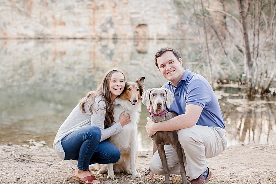 Border collie at this Meads Quarry Session by Knoxville Wedding Photographer, Amanda May Photos.