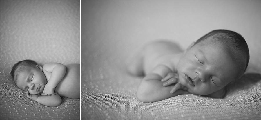 Black and white sleeping infant at this Studio Newborn Photos by Knoxville Wedding Photographer, Amanda May Photos.