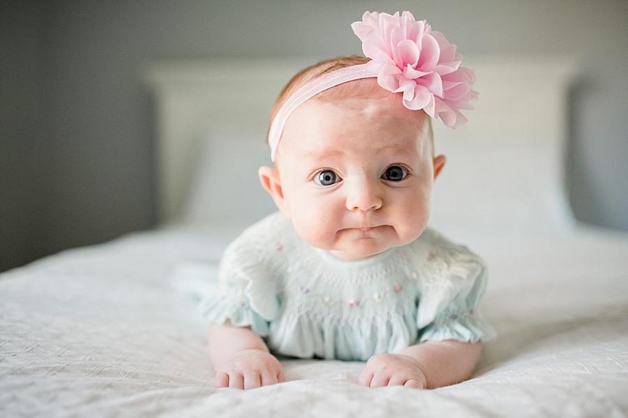 Chubby cheeks at this Studio 3 Month Session by Knoxville Wedding Photographer, Amanda May Photos.