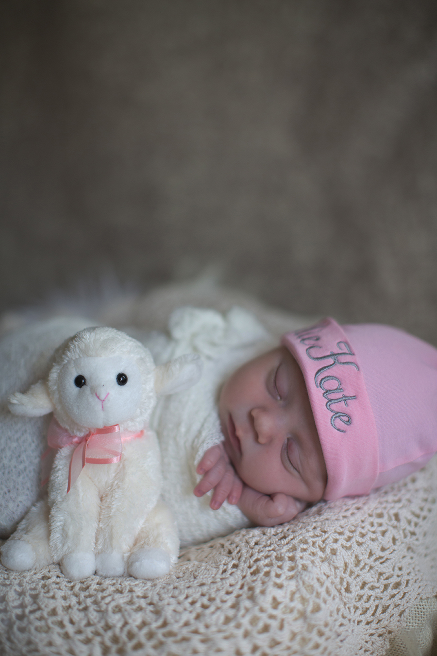 White lamb at this Tullahoma, TN newborn session by Knoxville Wedding Photographer, Amanda May Photos.