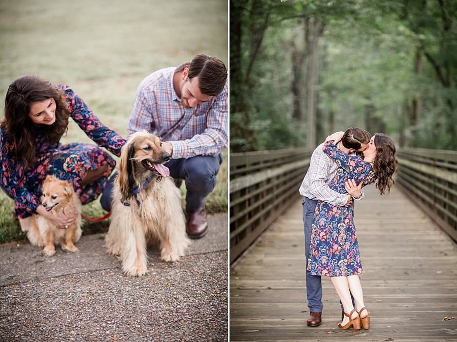 With the dogs at this Shelby Bottoms Park family session by Knoxville Wedding Photographer, Amanda May Photos.