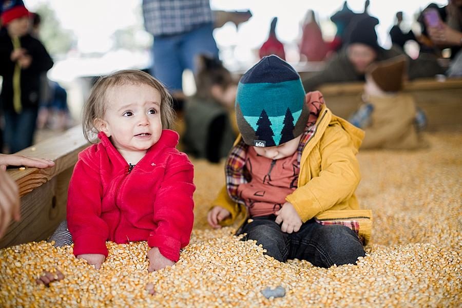 Corn pit at this Oakes Farm Session by Knoxville Wedding Photographer, Amanda May Photos.