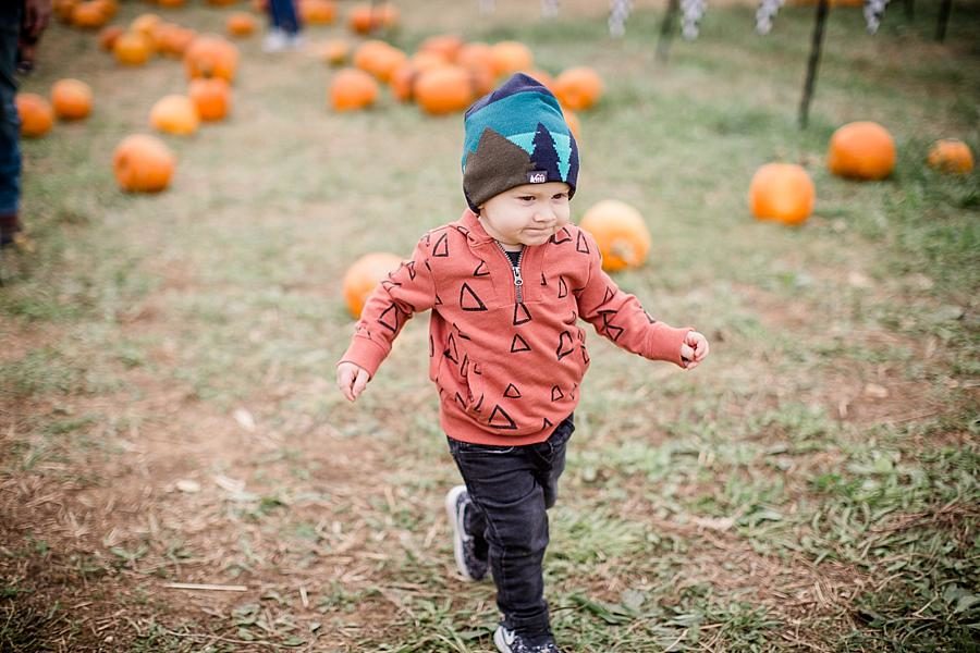 Pumpkin patch at this Oakes Farm Session by Knoxville Wedding Photographer, Amanda May Photos.