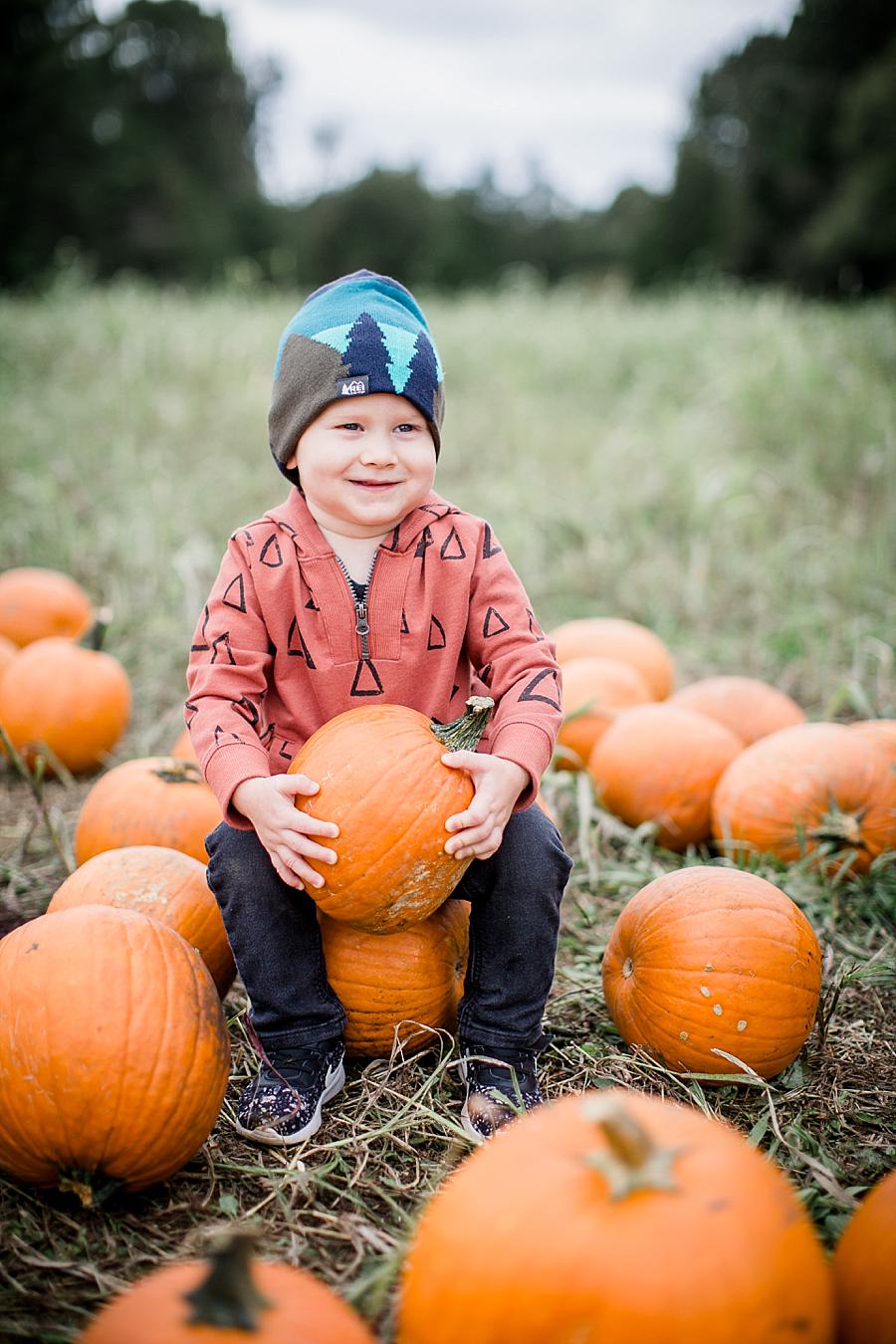 Holding a pumpkin at this Oakes Farm Session by Knoxville Wedding Photographer, Amanda May Photos.