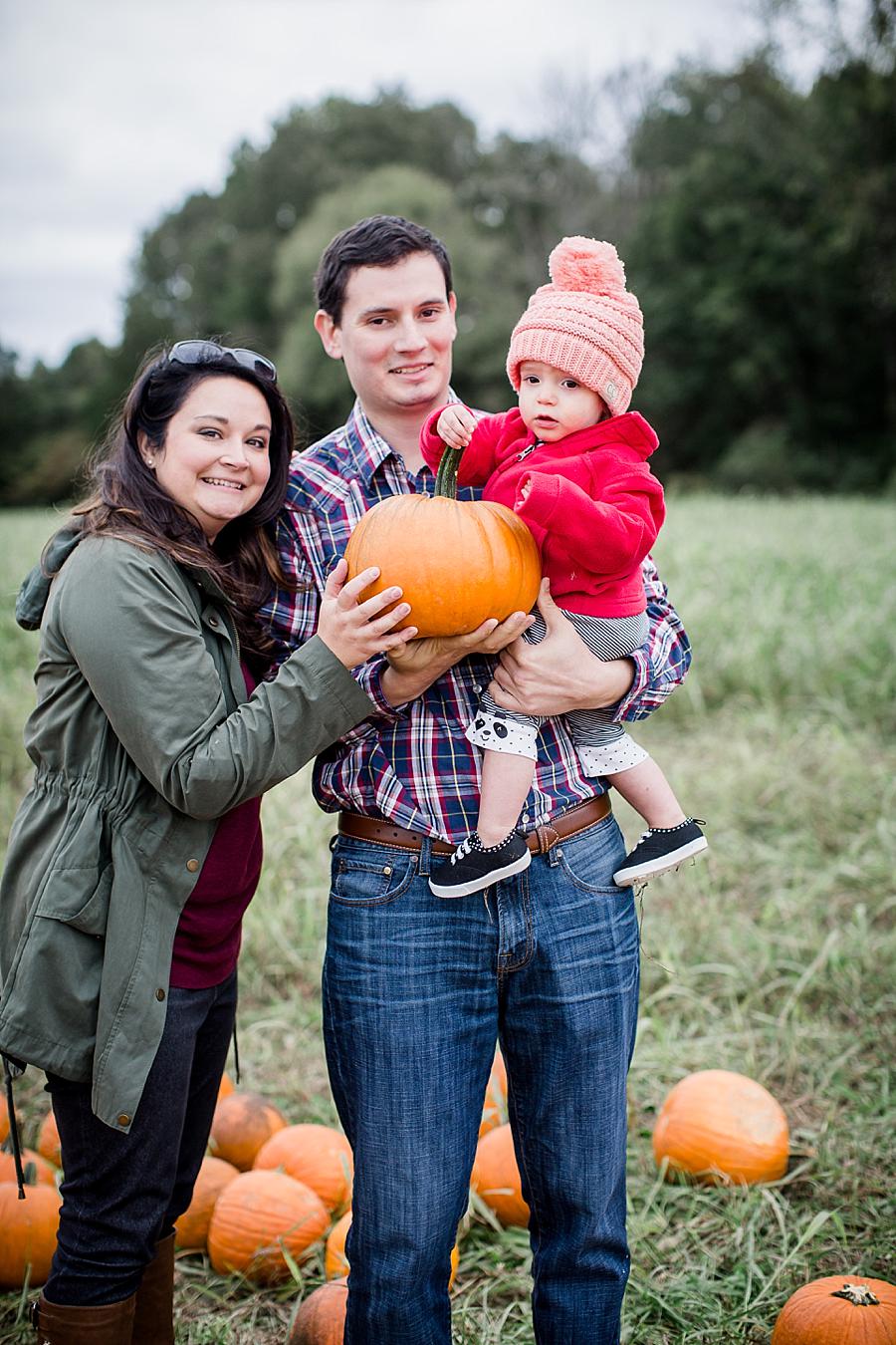 The whole family at this Oakes Farm Session by Knoxville Wedding Photographer, Amanda May Photos.