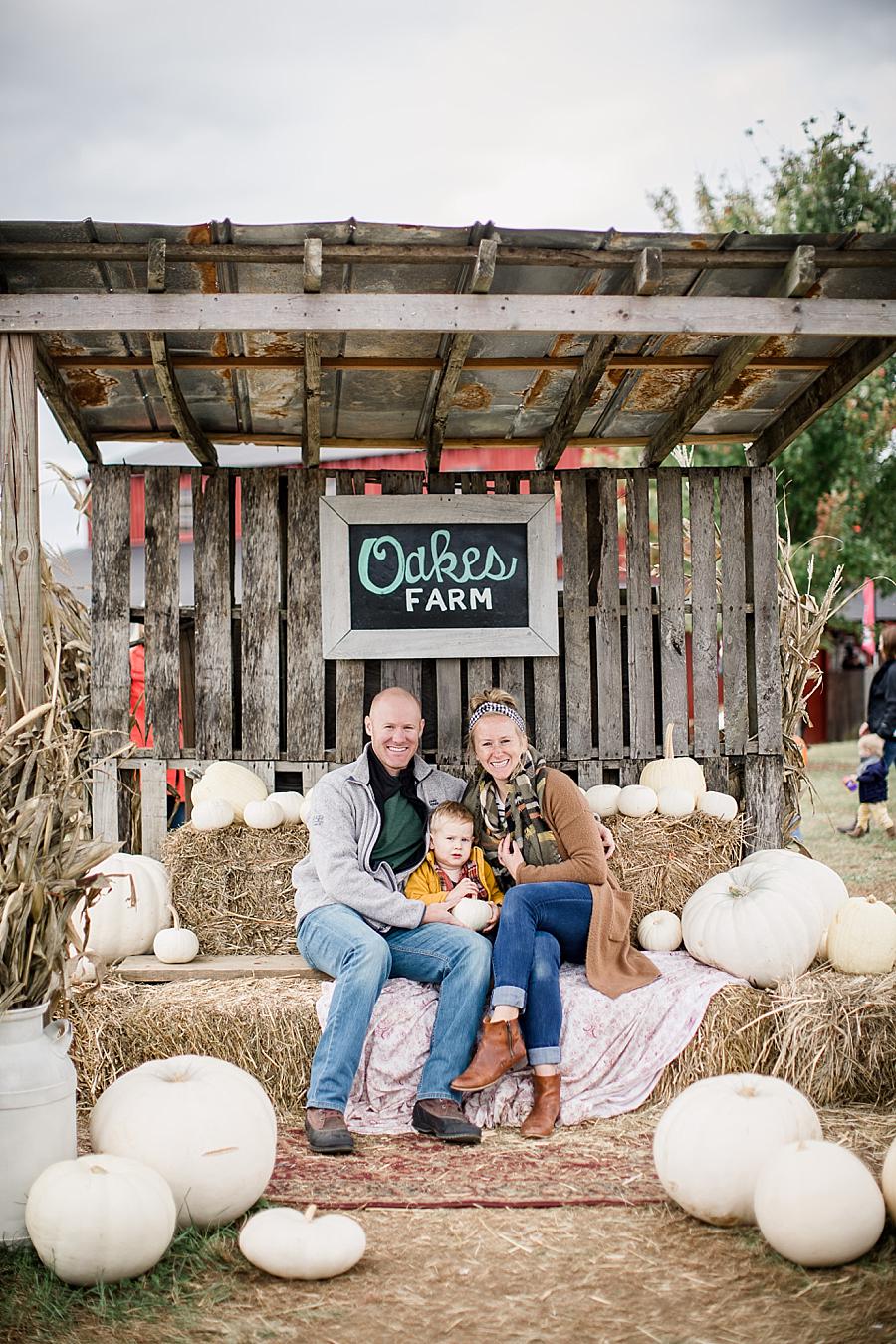 White pumpkins at this Oakes Farm Session by Knoxville Wedding Photographer, Amanda May Photos.