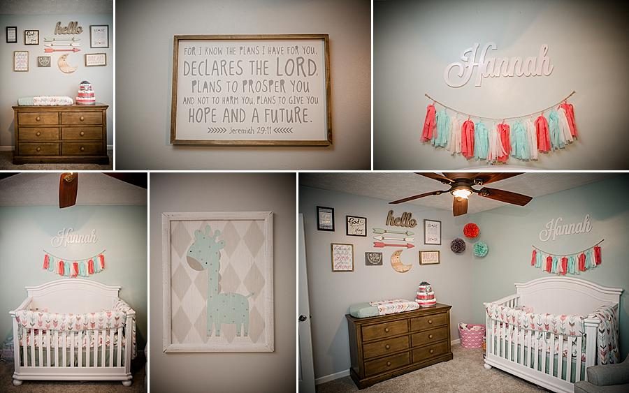 Nursery at this American Flag newborn session by Knoxville Wedding Photographer, Amanda May Photos.