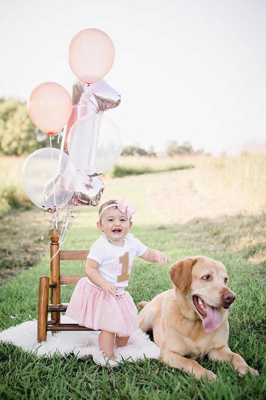A girl and her dog at this Melton Lake Park One Year Session by Knoxville Wedding Photographer, Amanda May Photos.