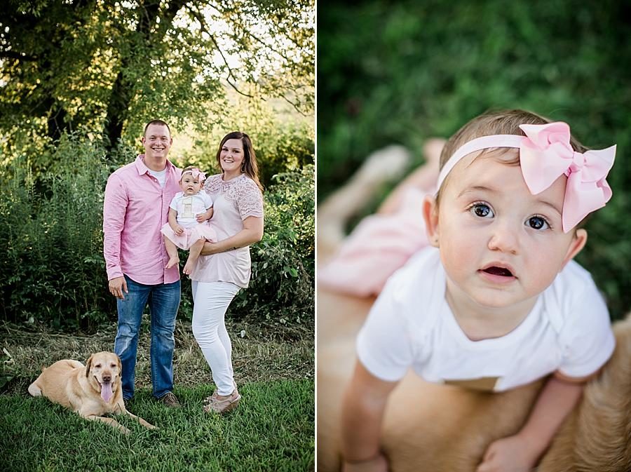 Family and their dog at this Melton Lake Park One Year Session by Knoxville Wedding Photographer, Amanda May Photos.