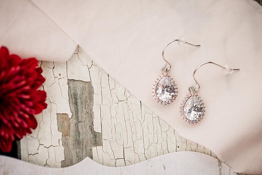 Drop diamond earrings at this Sampson's Hollow Fall Wedding by Knoxville Wedding Photographer, Amanda May Photos.