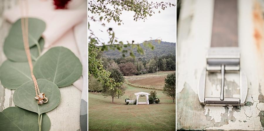 Eucalyptus at this Sampson's Hollow Fall Wedding by Knoxville Wedding Photographer, Amanda May Photos.