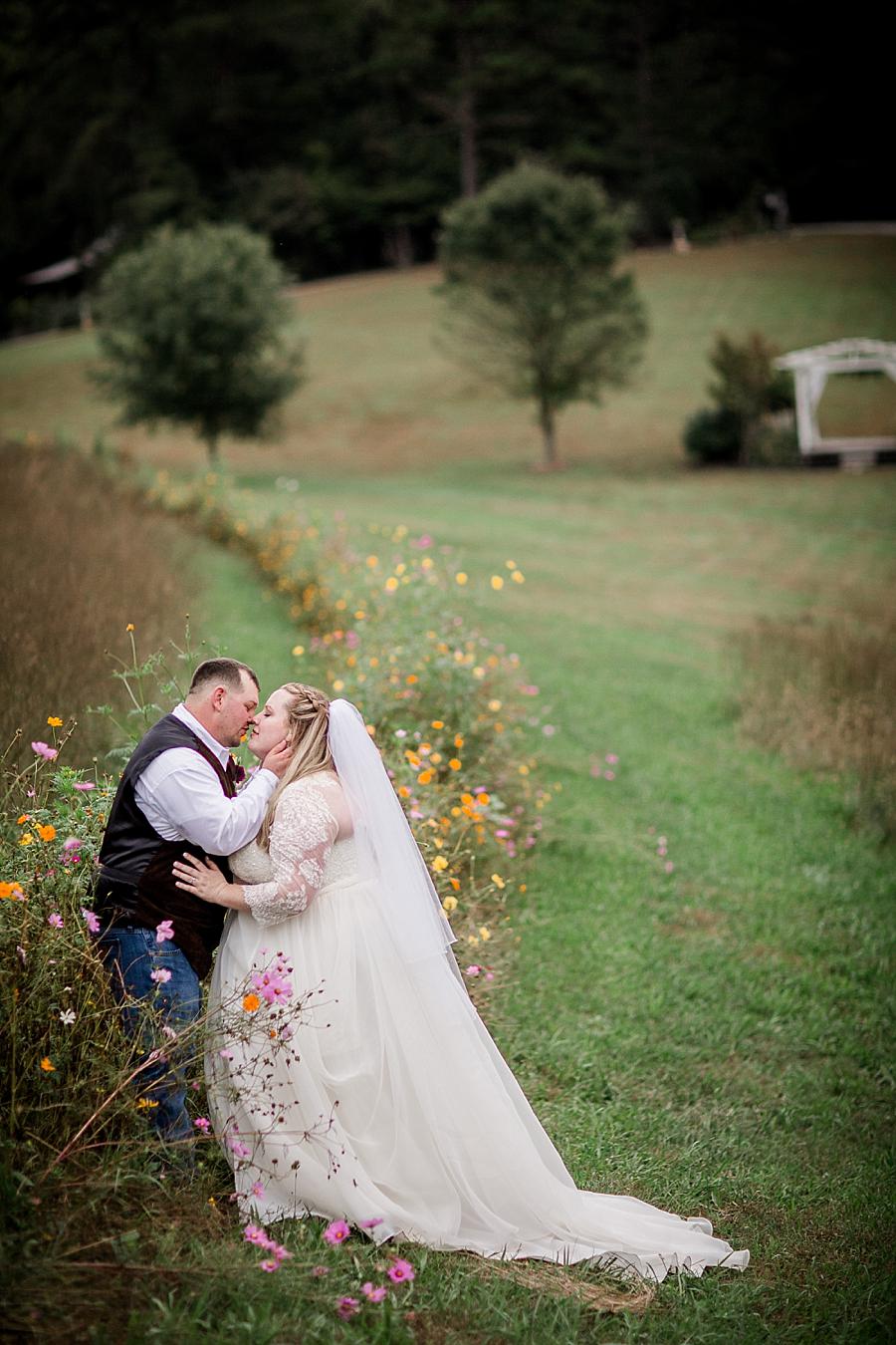 Among the wildflowers at this Sampson's Hollow Fall Wedding by Knoxville Wedding Photographer, Amanda May Photos.