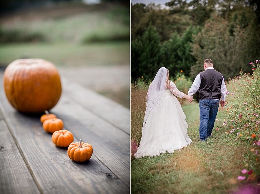 Pumpkin decor at this Sampson's Hollow Fall Wedding by Knoxville Wedding Photographer, Amanda May Photos.
