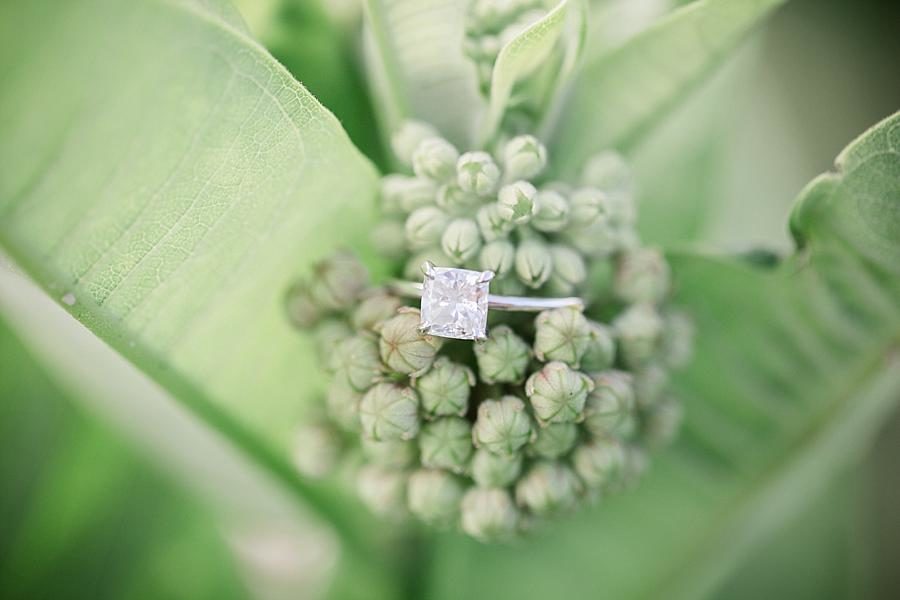 Square diamond at this Cades Cove Engagement by Knoxville Wedding Photographer, Amanda May Photos.