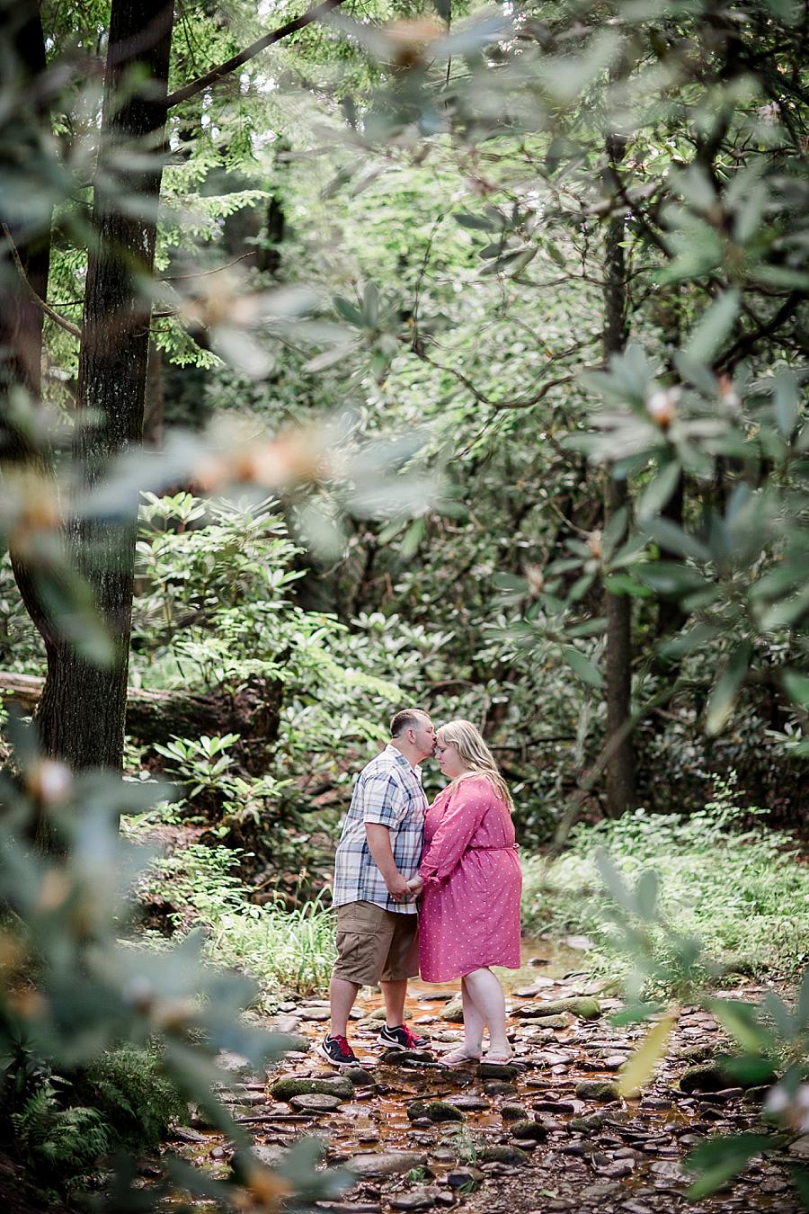 Kiss on the forehead at this Cades Cove Engagement by Knoxville Wedding Photographer, Amanda May Photos.