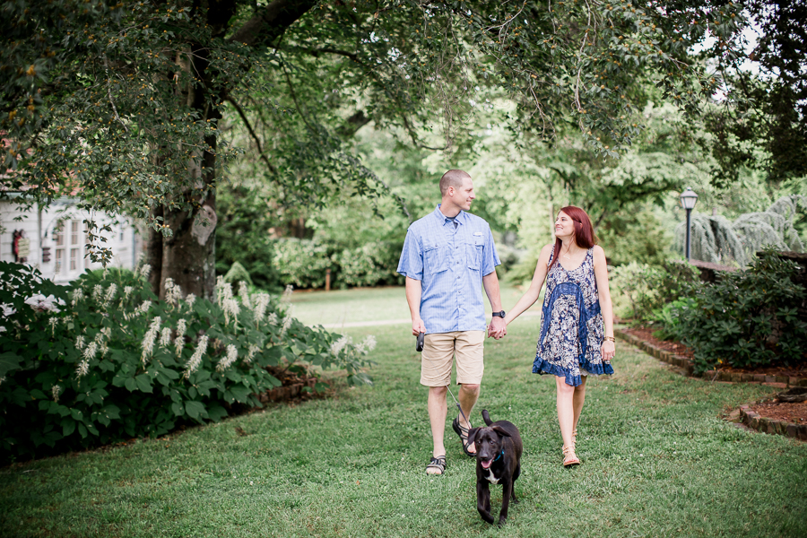 Walking their dog at this Knoxville Botanical Gardens engagement session by Knoxville Wedding Photographer, Amanda May Photos.