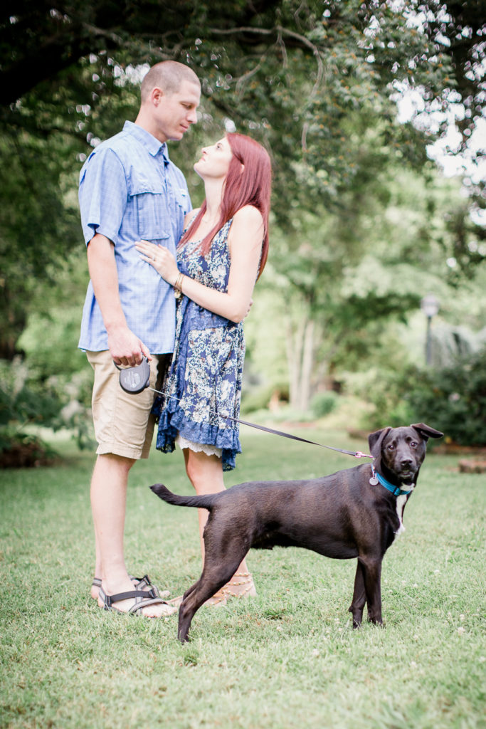Dog looking at camera at this Knoxville Botanical Gardens engagement session by Knoxville Wedding Photographer, Amanda May Photos.