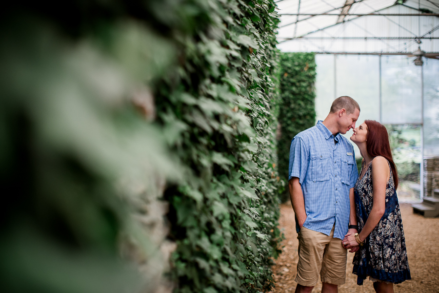 Nose to nose in the green house at this Knoxville Botanical Gardens engagement session by Knoxville Wedding Photographer, Amanda May Photos.