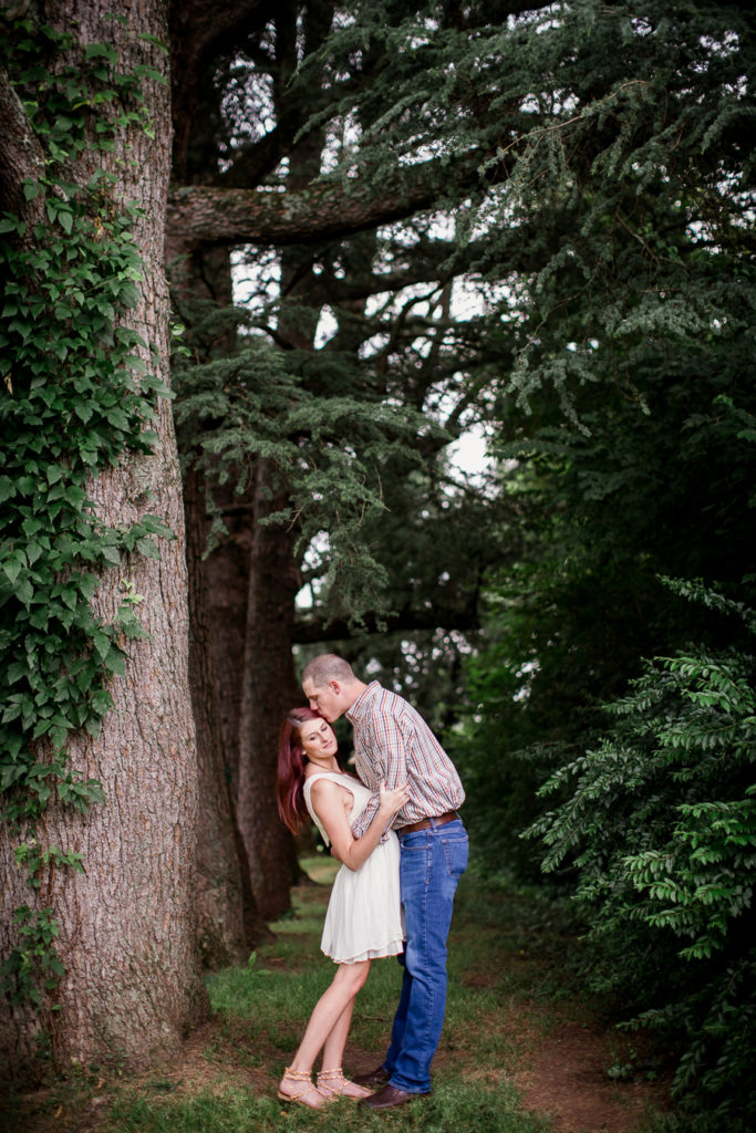 Kissing her cheek at this Knoxville Botanical Gardens engagement session by Knoxville Wedding Photographer, Amanda May Photos.
