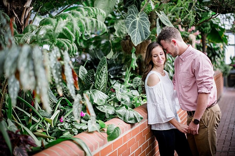 Leaning on the brick wall at this Biltmore Engagement by Knoxville Wedding Photographer, Amanda May Photos.