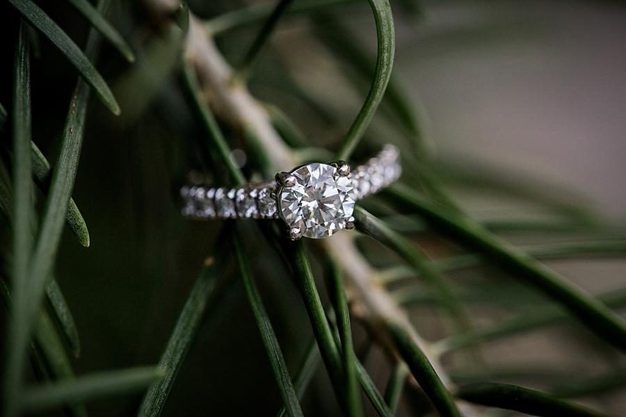 Another engagement ring at this Biltmore Engagement by Knoxville Wedding Photographer, Amanda May Photos.