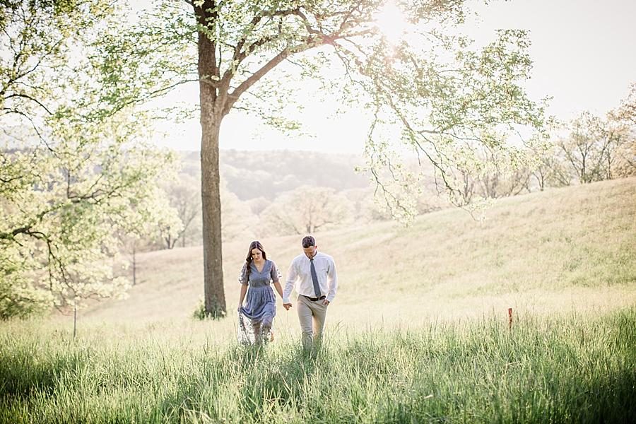 In the field at this Biltmore Engagement by Knoxville Wedding Photographer, Amanda May Photos.