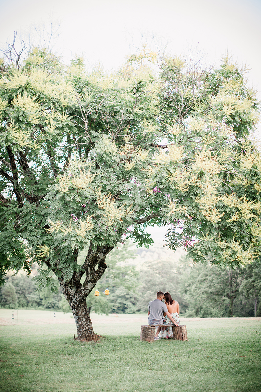 Sitting under tree at this Estate of Grace engagement session by Knoxville Wedding Photographer, Amanda May Photos.