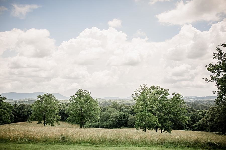 Trees and mountains at this Estate of Grace Wedding by Knoxville Wedding Photographer, Amanda May Photos.