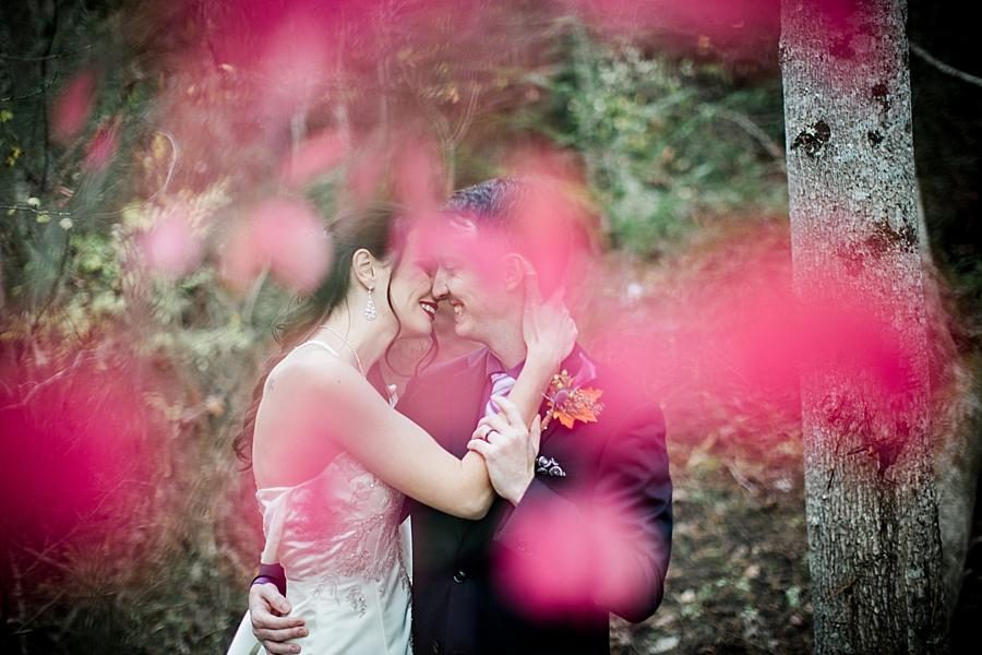 Kissing behind maroon leaves at this Cumberland Mountain State Park wedding by Knoxville Wedding Photographer, Amanda May Photos.