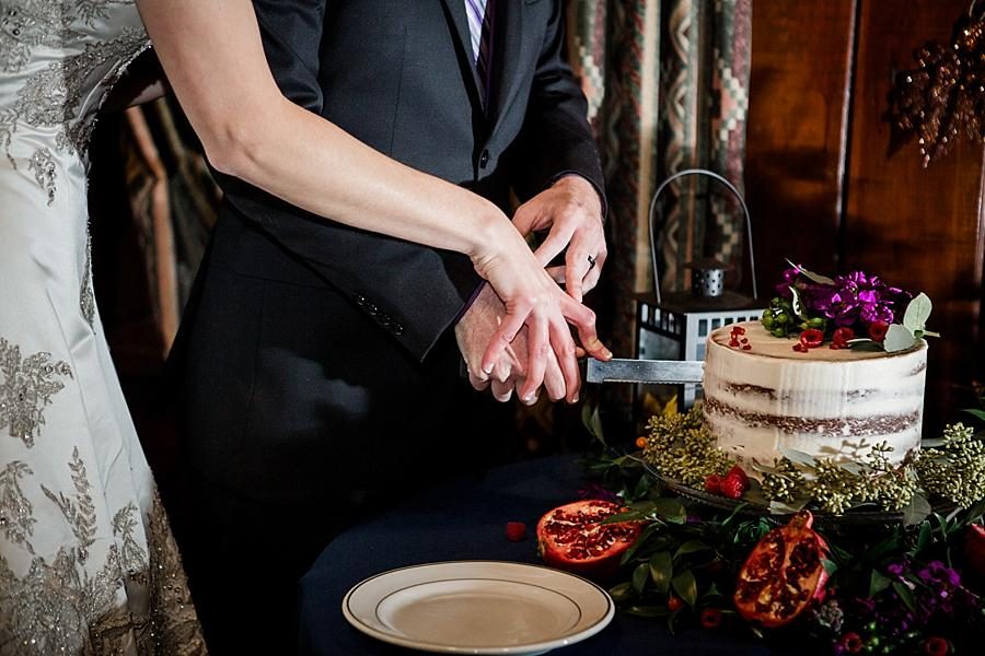 Cutting their cake at this Cumberland Mountain State Park wedding by Knoxville Wedding Photographer, Amanda May Photos.
