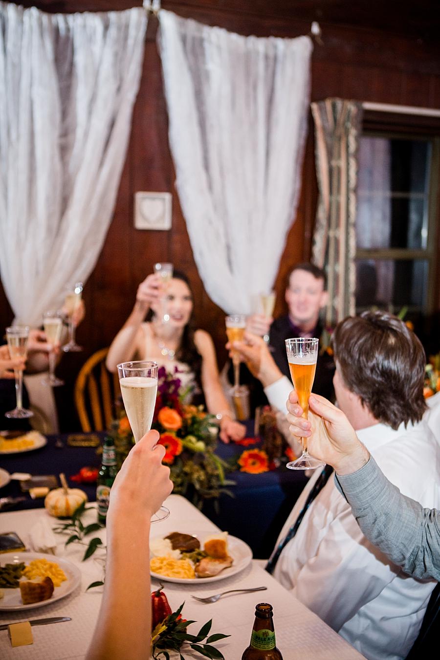 Toasting at this Cumberland Mountain State Park wedding by Knoxville Wedding Photographer, Amanda May Photos.