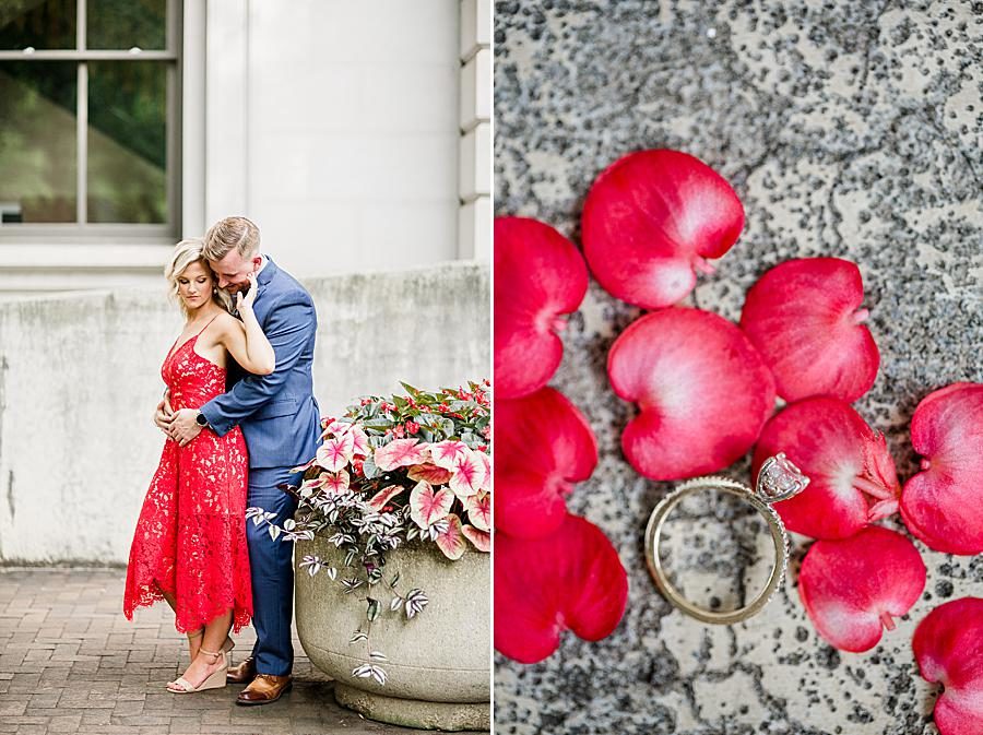 Engagement ring and rose petals at this Knoxville Botanical Gardens engagement by Knoxville Wedding Photographer, Amanda May Photos.