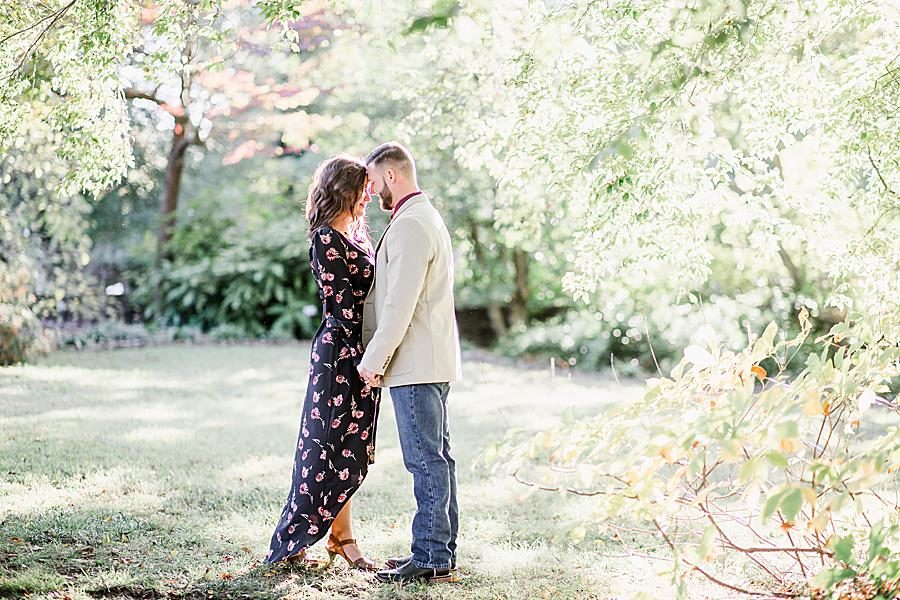 Foreheads together at this Knoxville Botanical Gardens Engagement by Knoxville Wedding Photographer, Amanda May Photos.