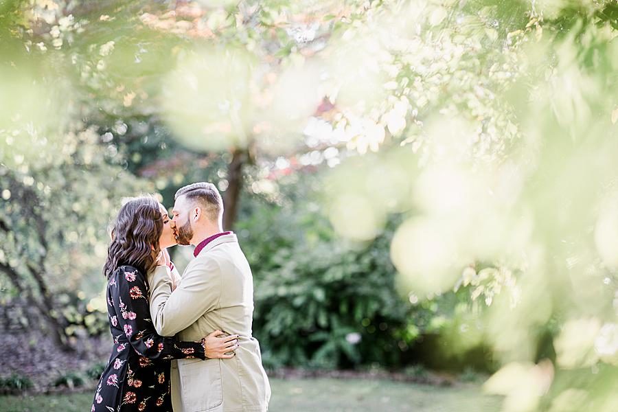 Through the leave at this Knoxville Botanical Gardens Engagement by Knoxville Wedding Photographer, Amanda May Photos.